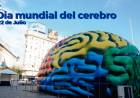 El 22 de julio se celebra el Día Mundial del Cerebro