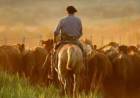 Hoy se celebra el Día del Trabajador Rural en todo el país.  