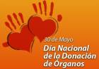 Día Nacional de la Donación de Órganos