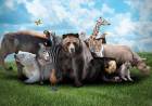 Día Mundial de los Animales