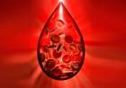 Día Mundial de la Hemofilia