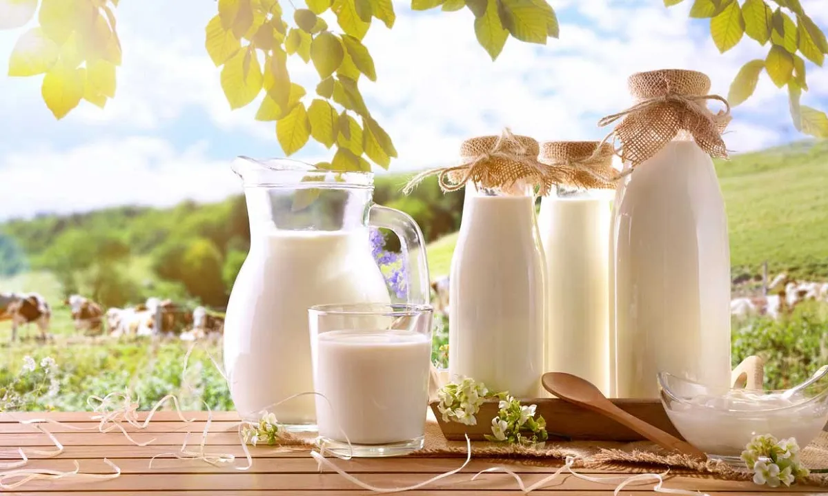 Día Mundial de la Leche