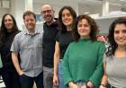 Científicos argentinos descubrieron una molécula cerebral que regula el estrés y la ansiedad