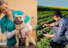 Día del Ingeniero Agrónomo y del Médico Veterinario