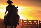 Día Nacional del Gaucho