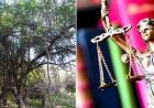  Día del Abogado y el Árbol