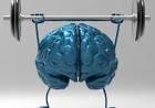 Día Mundial del Cerebro