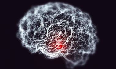 PELEARLE AL ALZHEIMER