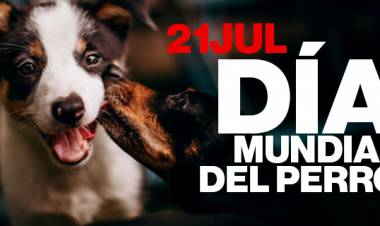Día mundial del perro