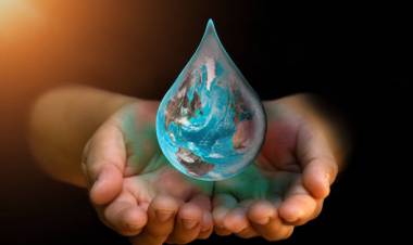 Día Mundial del Agua