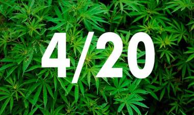 Día Mundial de la Marihuana