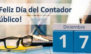 Contador público 