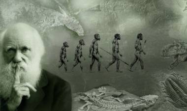 El Día de Darwin