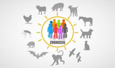 Día Mundial de la Zoonosis