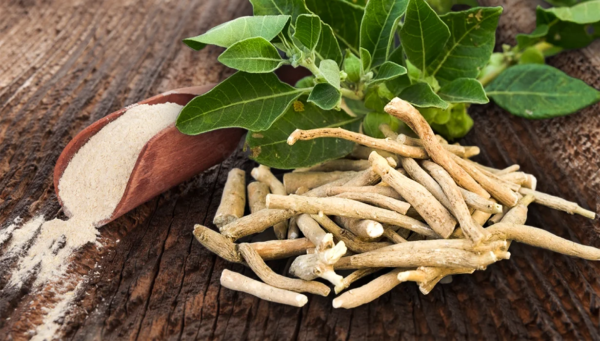 ¿Qué es la ashwagandha y para qué sirve?