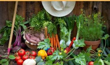 Día Mundial de la Agricultura