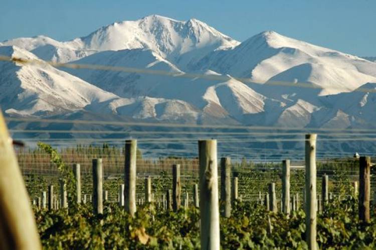 ¿QUÉ PASÓ EN MENDOZA?