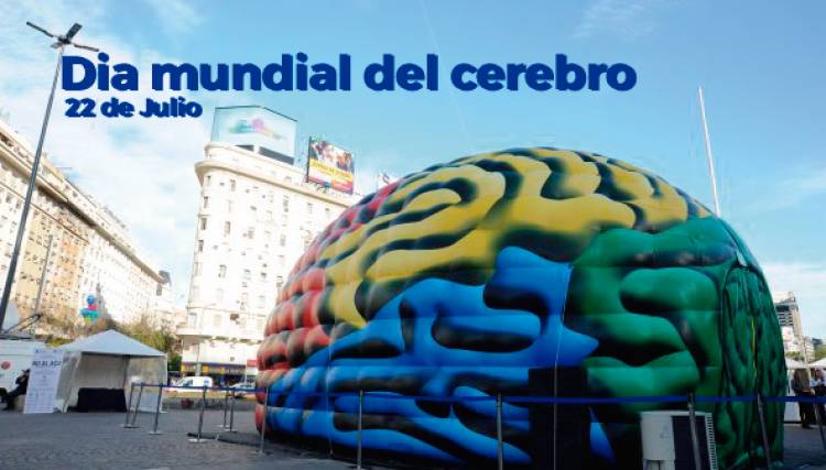 El 22 de julio se celebra el Día Mundial del Cerebro