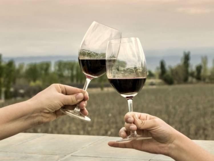 Día del vino Argentino.