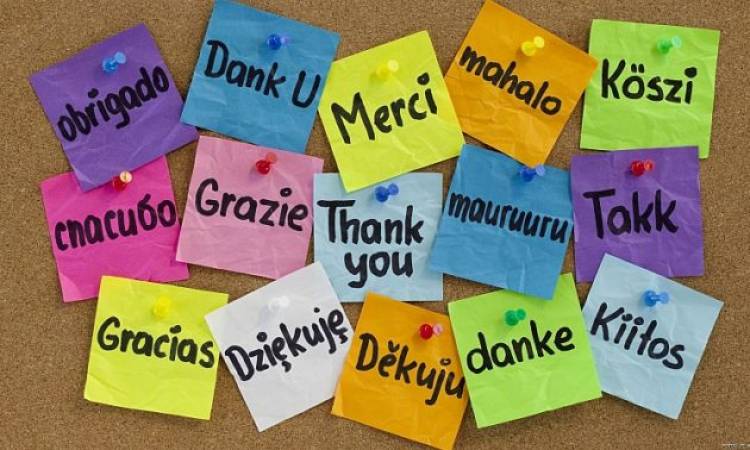 Día Internacional de la Traducción