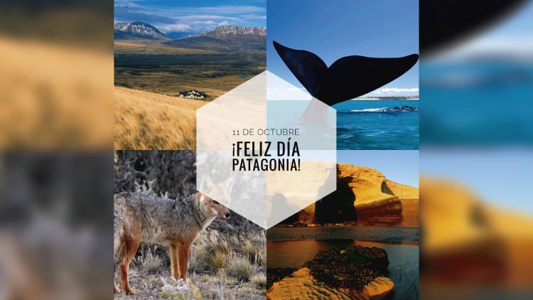 Patagonia Argentina 