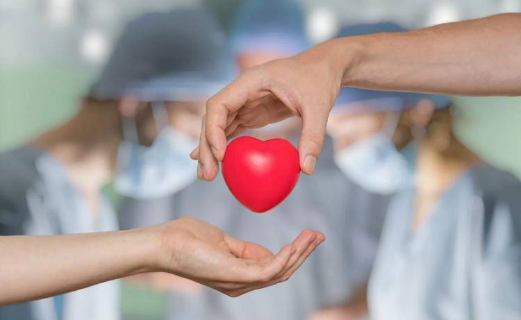 Donación de órganos 