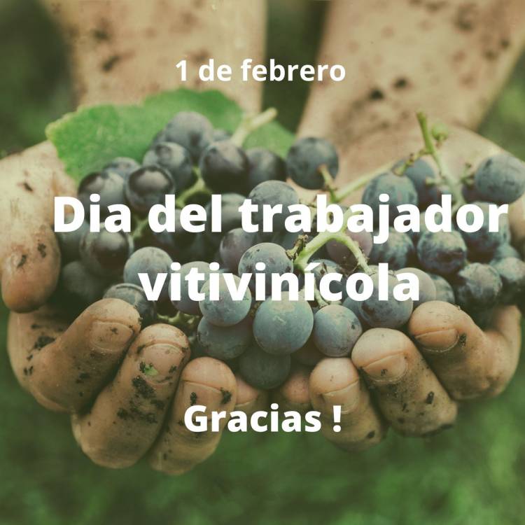 DÍA DEL TRABAJADOR VITIVINÍCOLA