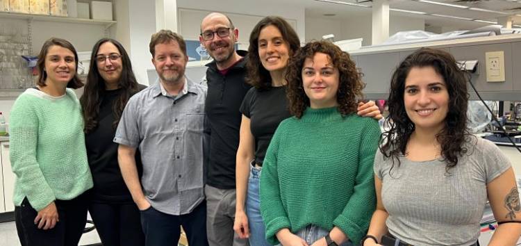 Científicos argentinos descubrieron una molécula cerebral que regula el estrés y la ansiedad