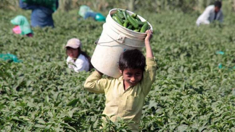 El Día Mundial contra el Trabajo Infantil