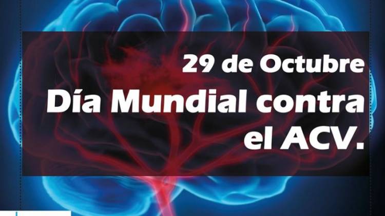 Día Mundial de la Lucha contra el Accidente Cerebrovascular (ACV)