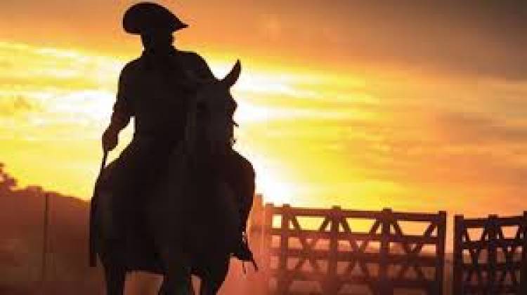 Día Nacional del Gaucho