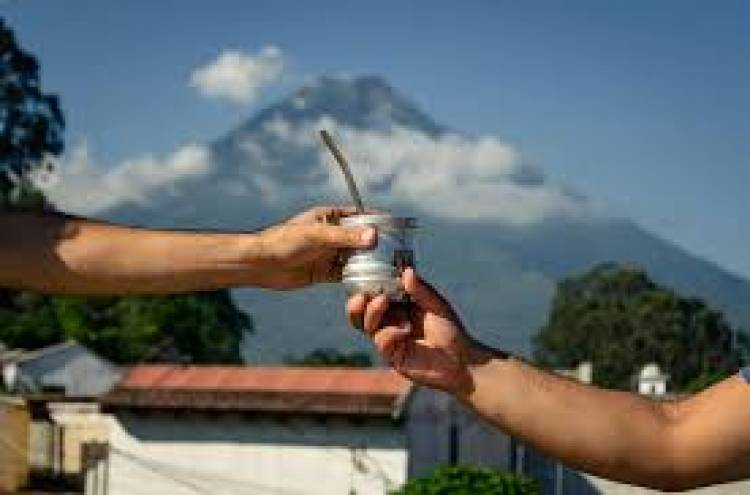 Menta y mate