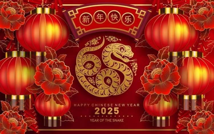 El Año Nuevo Chino 2025